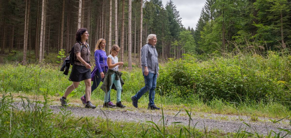 Bleiwäscher Bächeweg bei Bad Wünnenberg © Davies